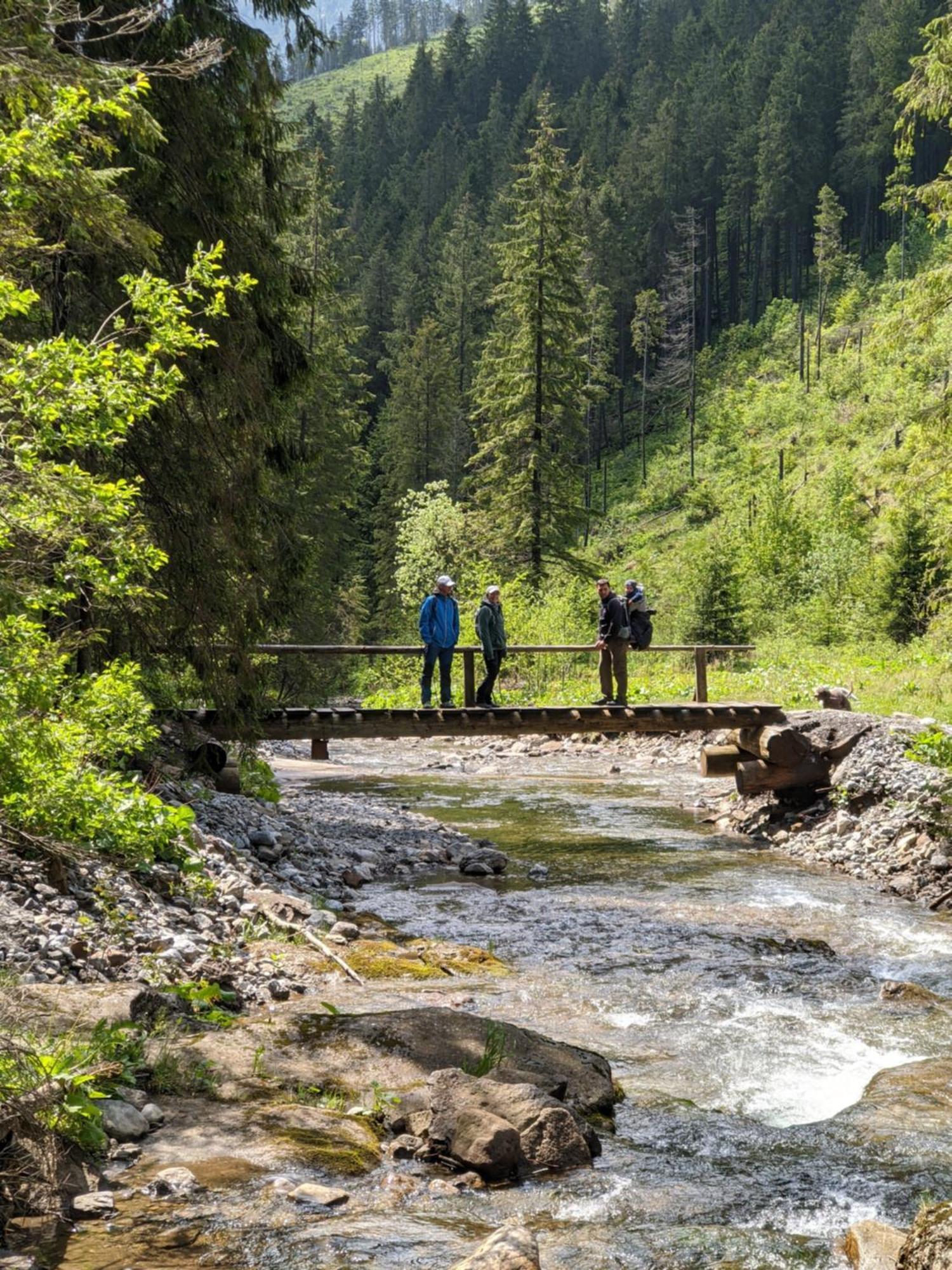 Apartman Hory - V Srdci Tatier Vysoké Tatry Exterior foto